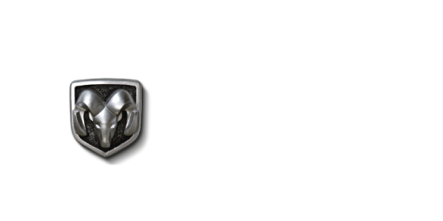 RAM