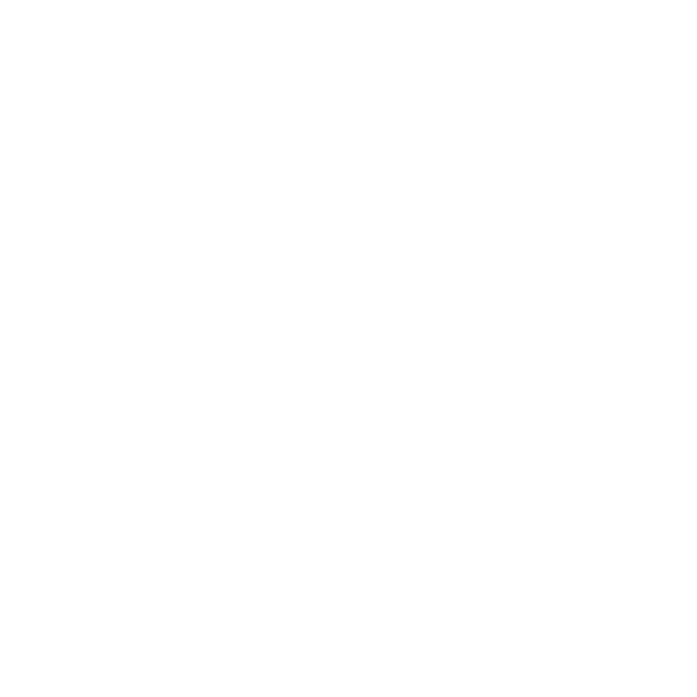cerveceria-nacional-nuevo-vertical-seeklogo